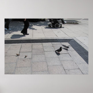 Rum för alla! poster