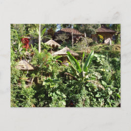Rum med en åsikt, Ubud, Bali Indonesia Vykort