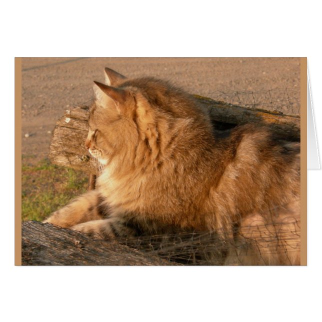 Rum Tum Tiggle Hälsningskort (Framsidan Horizontal)