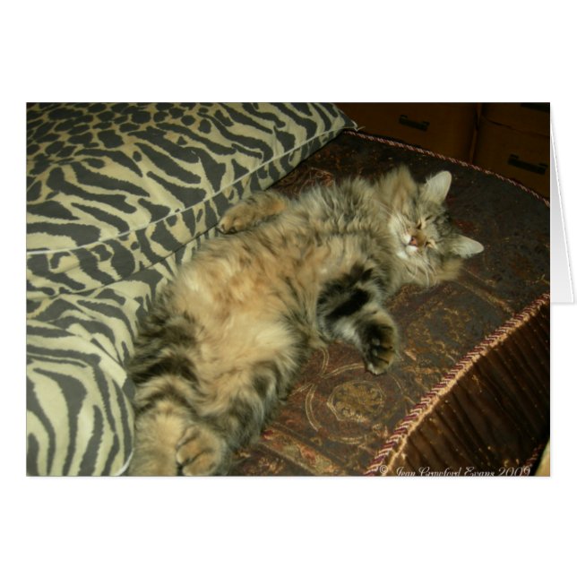 Rum Tum tummy Hälsningskort (Framsidan Horizontal)