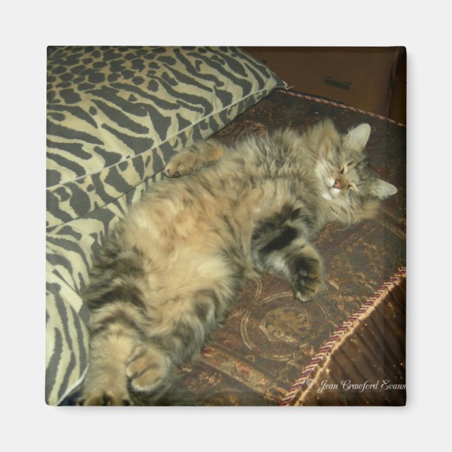 Rum Tum tummy Magnet (Framsidan)