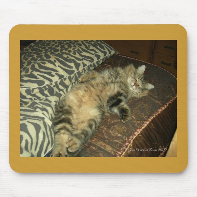 Rum Tum tummy Musmatta (Framsidan)