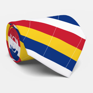 Rumänien Flagga Slips