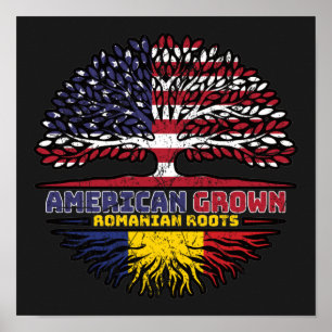 Rumänien Rumänska USA Förenta staterna Stater Poster