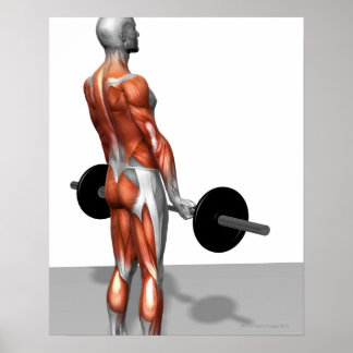 Rumänsk deadlift poster