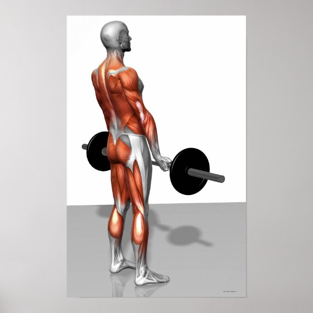 Rumänsk deadlift poster (Framsidan)