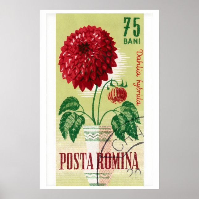 Rumänsk poststämpel tryck röd Dahlia blomma (Framsidan)