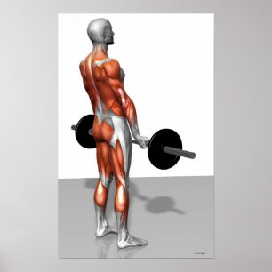 Rumänska Deadlift Poster