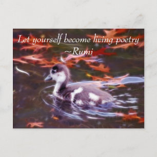 Rumi blir levande poesi vykort