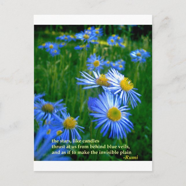 Rumi-Blue Vykort (Framsida)