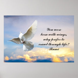 Rumi Du föddes med vingar Poster