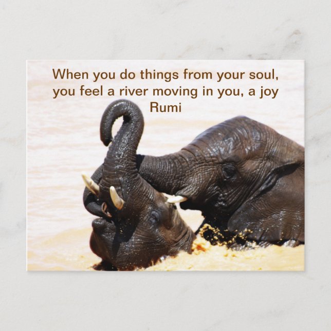 Rumi Själens glädje Meddelande Vykort (Framsida)