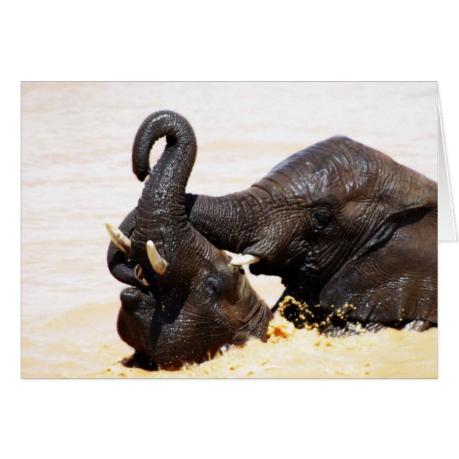 Rumi Soul joy joy Hälsningskort (Framsidan Horizontal)