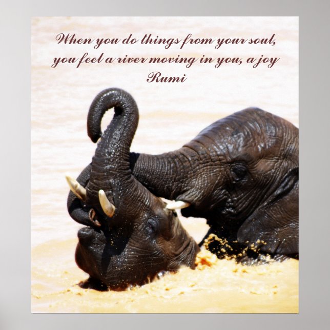 Rumi Soul joy joy Poster (Framsidan)