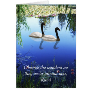 Rumi The wonders Hälsningskort