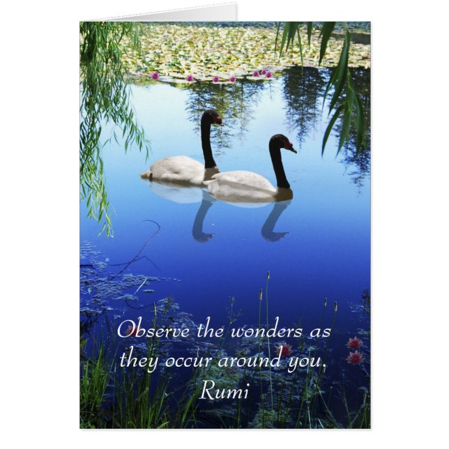Rumi The wonders Hälsningskort (Framsidan)
