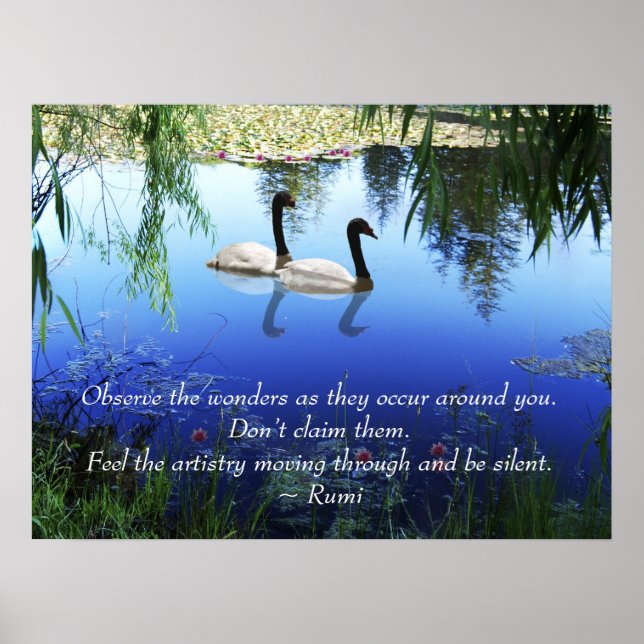 Rumi The wonders Poster (Framsidan)