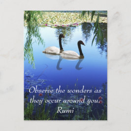 Rumi The wonders Vykort