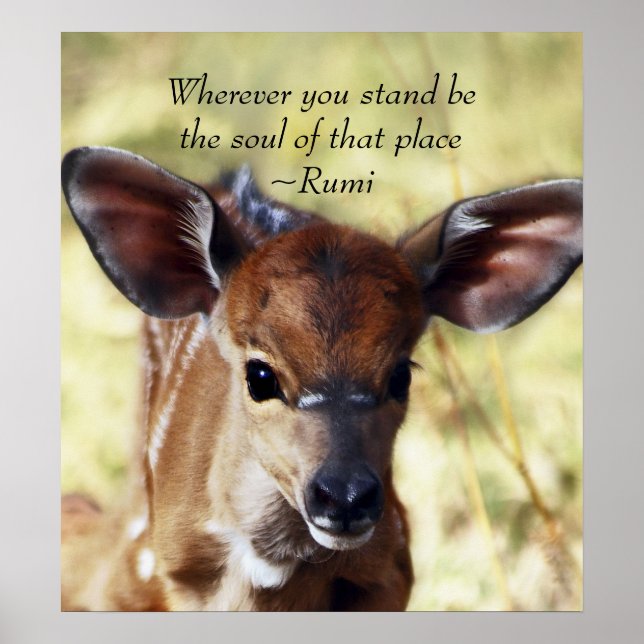 Rumi var du än står poster (Framsidan)