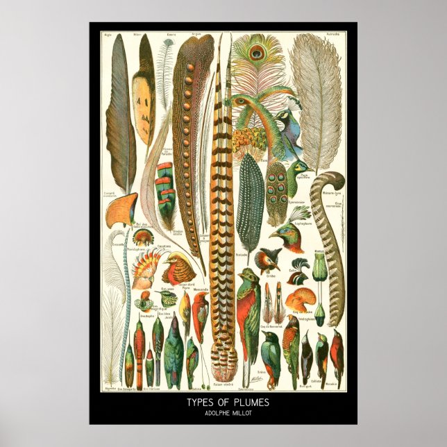 Rummor Poster (Framsidan)