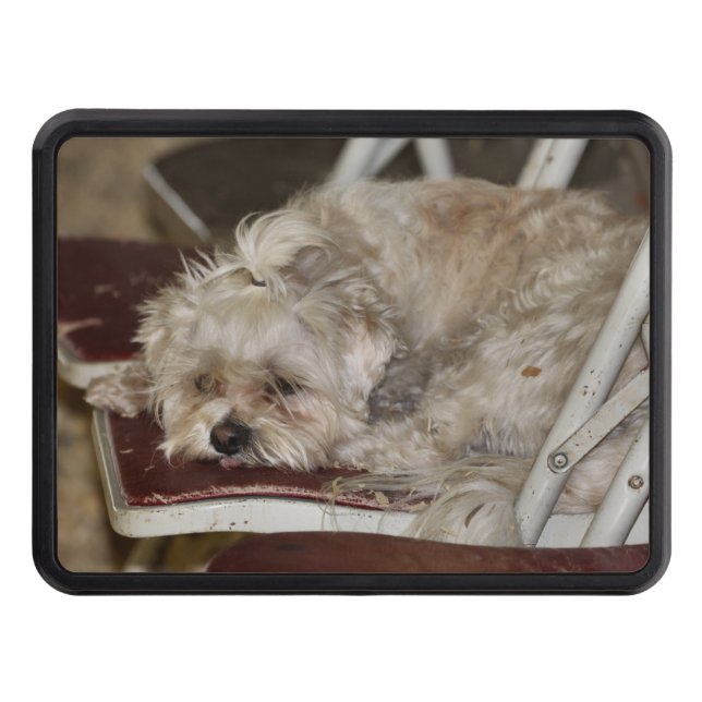 Rumpel Dragkroksskydd (Framsidan)