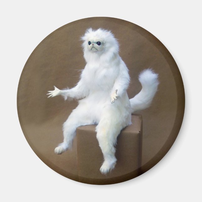 Rumsguardian Memnet Magnet (Framsidan)