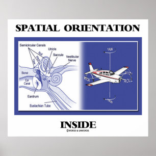 Rumslig orientering insida (Ear Anatomy Flygplan) Poster