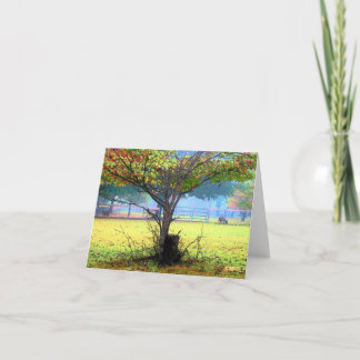 Runamuk Ranch Art Note-kort (tomt inuti) Kort