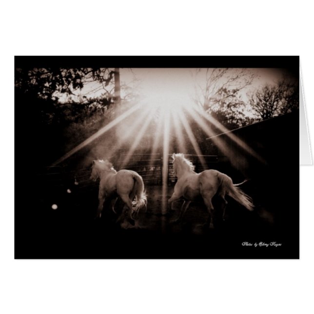 ~RunAndalusian Run~ Hälsningskort (Framsidan Horizontal)