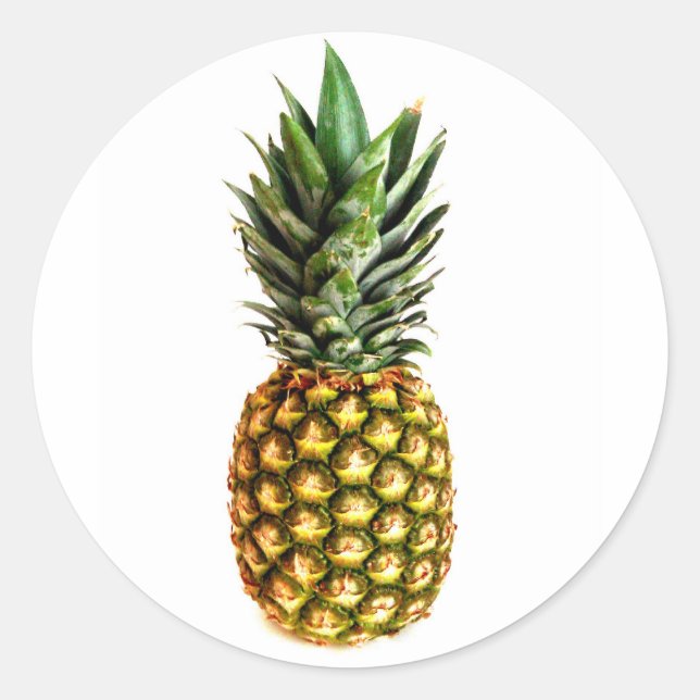 Rund ananas-klistermärken runt klistermärke (Framsida)