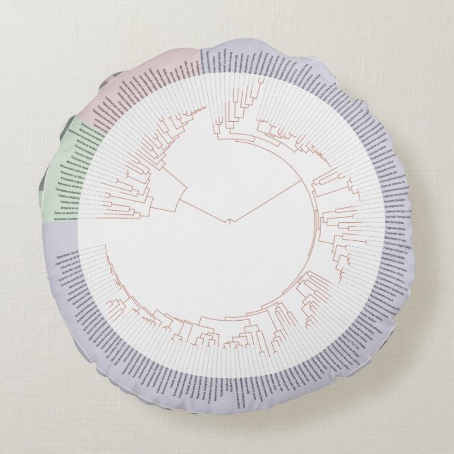 Rund fyllning av fylogenetiskt livets träd-diagram kudde (Baksidan)
