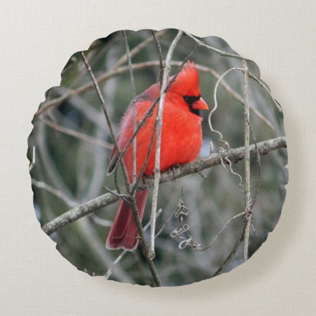 Rund fyllning av royal Red Cardinal Round Pillow Rund Kudde (Framsidan)