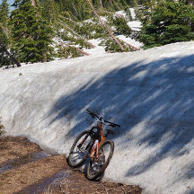 Rund knapp, stor, 4 tum