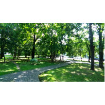 Rund knapp, stor, 4 tum