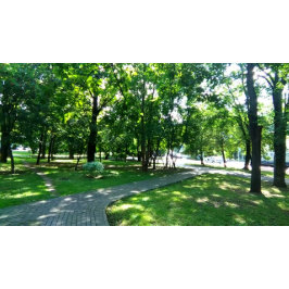 Rund knapp, stor, 4 tum knapp