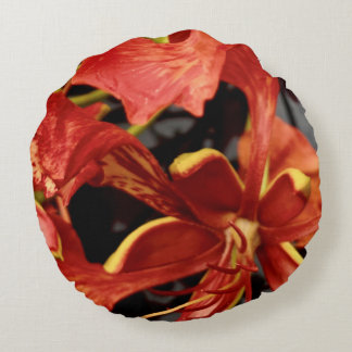 Rund kudde Royal Poinciana-blomma