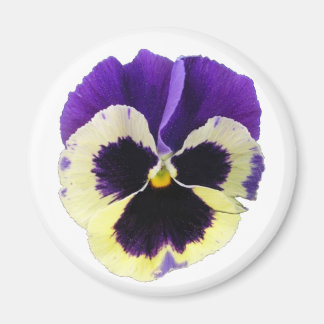 Rund Lila och Gult Pansy Magnet