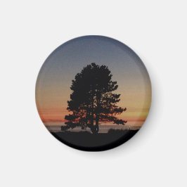 Rund magnet med en enda träd-silhuettssolnedgång
