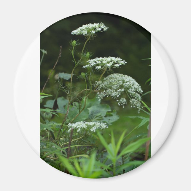 rund magnetmall magnet (Framsidan)