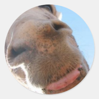 Runda fästdon - Spike Runt Klistermärke