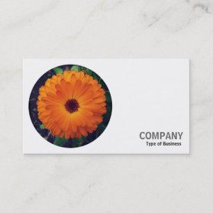 Runda foto - engelska Marigold Visitkort