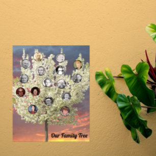Runda foton med vit blommande träd och solnedgång poster