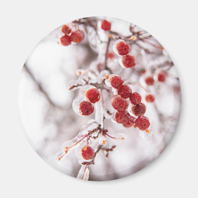 Runda magneter (Framsidan)