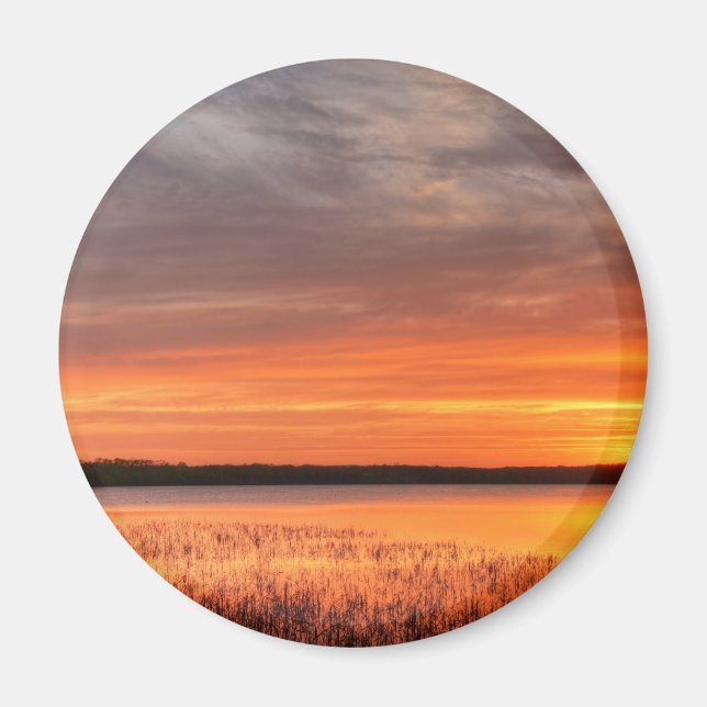 Runda magneter (Framsidan)