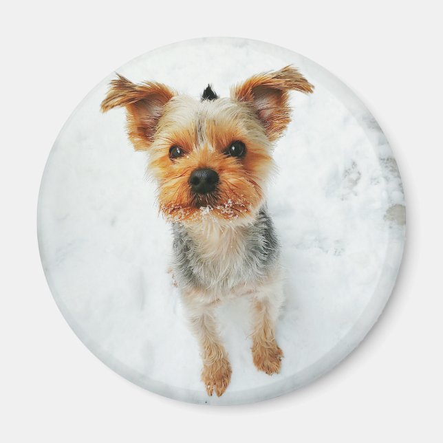 Runda magneter (Framsidan)