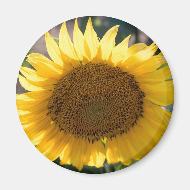 Runda magneter (Framsidan)