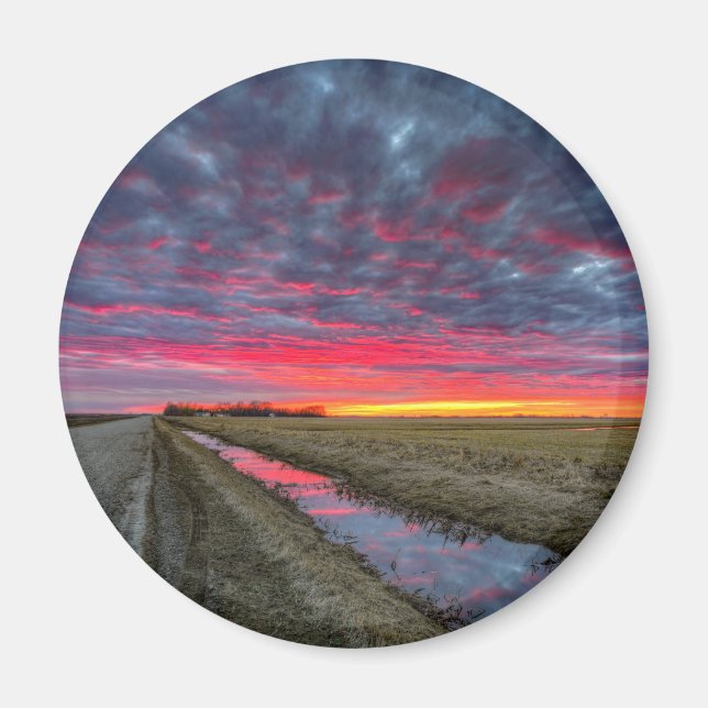 Runda magneter (Framsidan)