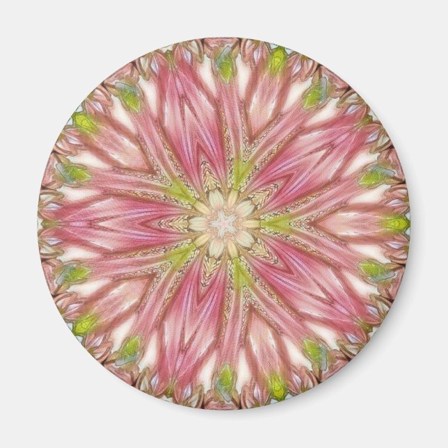 Runda magneter (Framsidan)