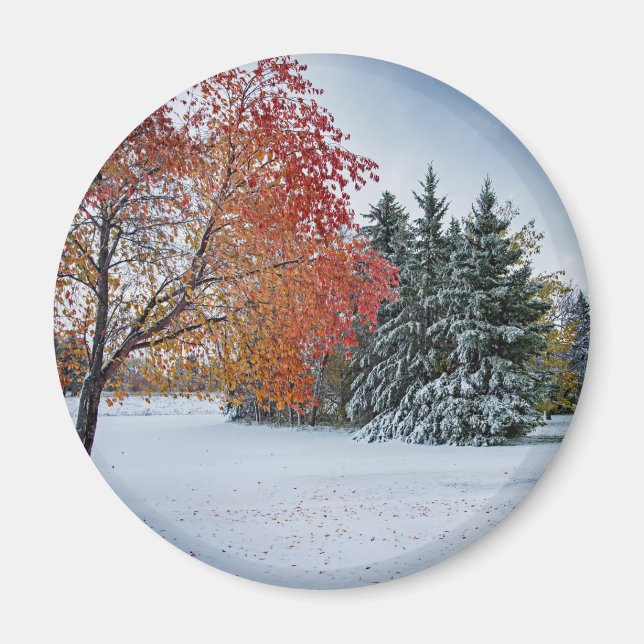 Runda magneter (Framsidan)