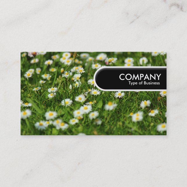 Rundad Kant-Märkre - Daisy Meadow Visitkort (Framsida)